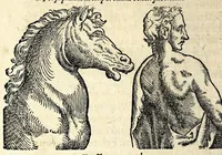 Picture 54 of 62 from De hvmana physiognomonia Ioannis Baptistae Portae Neapolitani libri IIII : qvi ab extimis, quae in hominum corporibus conspiciuntur signis, ita eorum naturas, mores & consilia (egregiis ad viuum expressis iconibvs) demonstrant, vt intimos animi recessus penetrare videantur ... : nunc ab innumeris mendis, quibus passim neapolitana scatebat editio, emendati, primumq[ue] in Germania in lucem editi : cum duplici rerum & verborum indice longe locupletissimo (1593), leaf 304