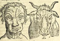 An illustration from De hvmana physiognomonia Ioannis Baptistae Portae Neapolitani libri IIII : qvi ab extimis, quae in hominum corporibus conspiciuntur signis, ita eorum naturas, mores & consilia (egregiis ad viuum expressis iconibvs) demonstrant, vt intimos animi recessus penetrare videantur ... : nunc ab innumeris mendis, quibus passim neapolitana scatebat editio, emendati, primumq[ue] in Germania in lucem editi : cum duplici rerum & verborum indice longe locupletissimo (1593)