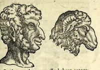 An illustration from De hvmana physiognomonia Ioannis Baptistae Portae Neapolitani libri IIII : qvi ab extimis, quae in hominum corporibus conspiciuntur signis, ita eorum naturas, mores & consilia (egregiis ad viuum expressis iconibvs) demonstrant, vt intimos animi recessus penetrare videantur ... : nunc ab innumeris mendis, quibus passim neapolitana scatebat editio, emendati, primumq[ue] in Germania in lucem editi : cum duplici rerum & verborum indice longe locupletissimo (1593)