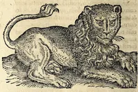 An illustration from De hvmana physiognomonia Ioannis Baptistae Portae Neapolitani libri IIII : qvi ab extimis, quae in hominum corporibus conspiciuntur signis, ita eorum naturas, mores & consilia (egregiis ad viuum expressis iconibvs) demonstrant, vt intimos animi recessus penetrare videantur ... : nunc ab innumeris mendis, quibus passim neapolitana scatebat editio, emendati, primumq[ue] in Germania in lucem editi : cum duplici rerum & verborum indice longe locupletissimo (1593)