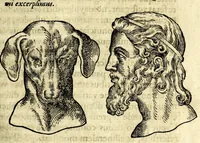 Picture 9 of 62 from De hvmana physiognomonia Ioannis Baptistae Portae Neapolitani libri IIII : qvi ab extimis, quae in hominum corporibus conspiciuntur signis, ita eorum naturas, mores & consilia (egregiis ad viuum expressis iconibvs) demonstrant, vt intimos animi recessus penetrare videantur ... : nunc ab innumeris mendis, quibus passim neapolitana scatebat editio, emendati, primumq[ue] in Germania in lucem editi : cum duplici rerum & verborum indice longe locupletissimo (1593), leaf 83