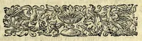 An illustration from De hvmana physiognomonia Ioannis Baptistae Portae Neapolitani libri IIII : qvi ab extimis, quae in hominum corporibus conspiciuntur signis, ita eorum naturas, mores & consilia (egregiis ad viuum expressis iconibvs) demonstrant, vt intimos animi recessus penetrare videantur ... : nunc ab innumeris mendis, quibus passim neapolitana scatebat editio, emendati, primumq[ue] in Germania in lucem editi : cum duplici rerum & verborum indice longe locupletissimo (1593)