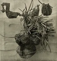 Picture 244 of 390 from De inlandsche kunstnijverheid in Nederlandsch Indië (1912), leaf 205