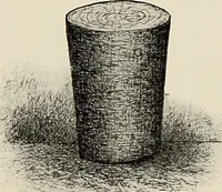 An illustration from De inlandsche kunstnijverheid in Nederlandsch Indië (1912)