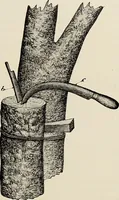 An illustration from De inlandsche kunstnijverheid in Nederlandsch Indië (1912)
