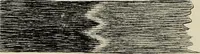 An illustration from De inlandsche kunstnijverheid in Nederlandsch Indië (1912)