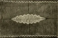 An illustration from De inlandsche kunstnijverheid in Nederlandsch Indië (1912)