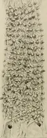 An illustration from De inlandsche kunstnijverheid in Nederlandsch Indië (1912)
