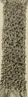 An illustration from De inlandsche kunstnijverheid in Nederlandsch Indië (1912)