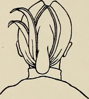 An illustration from De inlandsche kunstnijverheid in Nederlandsch Indië (1912)