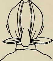 An illustration from De inlandsche kunstnijverheid in Nederlandsch Indië (1912)