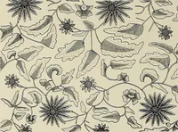 An illustration from De inlandsche kunstnijverheid in Nederlandsch Indië (1912)