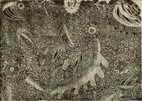An illustration from De inlandsche kunstnijverheid in Nederlandsch Indië (1912)