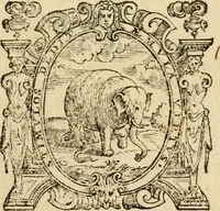 An illustration from De ivribvs et privilegiis fisci, libri septem (1589)