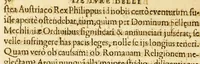 An illustration from De jure belli Belgici adversus Philippum regem Hispaniarum oratio nobilis Belgæ, ad potentissimos, ac serenissimos Christiani orbis principes (1599)