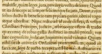 An illustration from De jure belli Belgici adversus Philippum regem Hispaniarum oratio nobilis Belgæ, ad potentissimos, ac serenissimos Christiani orbis principes (1599)