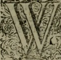 An illustration from De kapelle der dooden, of de algemeene dooden-spiegel. In welken alle menschen, van wat staat of rang zy zyn mogen, zich tot hun nut konnen beschouwen; om indagtig te zyn het memento mori, of gedenkt to sterven .. (1741)
