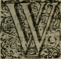 An illustration from De kapelle der dooden, of de algemeene dooden-spiegel. In welken alle menschen, van wat staat of rang zy zyn mogen, zich tot hun nut konnen beschouwen; om indagtig te zyn het memento mori, of gedenkt to sterven .. (1741)