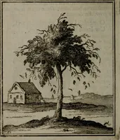 Picture 102 of 129 from De kapelle der dooden, of de algemeene dooden-spiegel. In welken alle menschen, van wat staat of rang zy zyn mogen, zich tot hun nut konnen beschouwen; om indagtig te zyn het memento mori, of gedenkt to sterven .. (1741), leaf 275