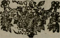 Picture 112 of 129 from De kapelle der dooden, of de algemeene dooden-spiegel. In welken alle menschen, van wat staat of rang zy zyn mogen, zich tot hun nut konnen beschouwen; om indagtig te zyn het memento mori, of gedenkt to sterven .. (1741), leaf 307