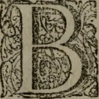 Picture 114 of 129 from De kapelle der dooden, of de algemeene dooden-spiegel. In welken alle menschen, van wat staat of rang zy zyn mogen, zich tot hun nut konnen beschouwen; om indagtig te zyn het memento mori, of gedenkt to sterven .. (1741), leaf 309