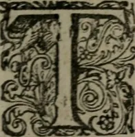 Picture 126 of 129 from De kapelle der dooden, of de algemeene dooden-spiegel. In welken alle menschen, van wat staat of rang zy zyn mogen, zich tot hun nut konnen beschouwen; om indagtig te zyn het memento mori, of gedenkt to sterven .. (1741), leaf 348
