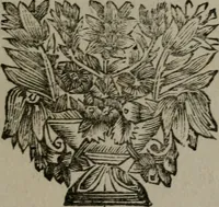 An illustration from De kapelle der dooden, of de algemeene dooden-spiegel. In welken alle menschen, van wat staat of rang zy zyn mogen, zich tot hun nut konnen beschouwen; om indagtig te zyn het memento mori, of gedenkt to sterven .. (1741)