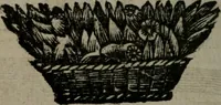 Picture 43 of 92 from De kapelle der dooden, of, De algemeene doodenspiegel : in welken all menschen, van wat staat of rang zy zyn mogen, zich tot hun nut konnen beschouwen : om indagtig ti zyn het memento mori, gedenkt te sterven ... (1737), leaf 159