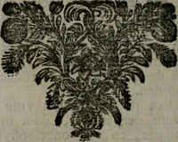 An illustration from De kapelle der dooden, of, De algemeene doodenspiegel : in welken all menschen, van wat staat of rang zy zyn mogen, zich tot hun nut konnen beschouwen : om indagtig ti zyn het memento mori, gedenkt te sterven ... (1737)