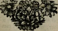 An illustration from De kapelle der dooden, of, De algemeene doodenspiegel : in welken all menschen, van wat staat of rang zy zyn mogen, zich tot hun nut konnen beschouwen : om indagtig ti zyn het memento mori, gedenkt te sterven ... (1737)