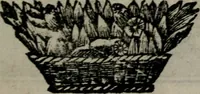 An illustration from De kapelle der dooden, of, De algemeene doodenspiegel : in welken all menschen, van wat staat of rang zy zyn mogen, zich tot hun nut konnen beschouwen : om indagtig ti zyn het memento mori, gedenkt te sterven ... (1737)