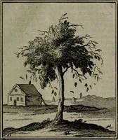 An illustration from De kapelle der dooden, of, De algemeene doodenspiegel : in welken all menschen, van wat staat of rang zy zyn mogen, zich tot hun nut konnen beschouwen : om indagtig ti zyn het memento mori, gedenkt te sterven ... (1737)
