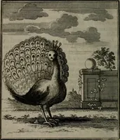 An illustration from De kapelle der dooden, of, De algemeene doodenspiegel : in welken all menschen, van wat staat of rang zy zyn mogen, zich tot hun nut konnen beschouwen : om indagtig ti zyn het memento mori, gedenkt te sterven ... (1737)