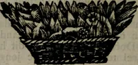 An illustration from De kapelle der dooden, of, De algemeene doodenspiegel : in welken all menschen, van wat staat of rang zy zyn mogen, zich tot hun nut konnen beschouwen : om indagtig ti zyn het memento mori, gedenkt te sterven ... (1737)