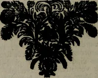 An illustration from De kapelle der dooden, of, De algemeene doodenspiegel : in welken all menschen, van wat staat of rang zy zyn mogen, zich tot hun nut konnen beschouwen : om indagtig ti zyn het memento mori, gedenkt te sterven ... (1737)