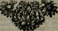 An illustration from De kapelle der dooden, of, De algemeene doodenspiegel : in welken all menschen, van wat staat of rang zy zyn mogen, zich tot hun nut konnen beschouwen : om indagtig ti zyn het memento mori, gedenkt te sterven ... (1737)