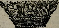 An illustration from De kapelle der dooden, of, De algemeene doodenspiegel : in welken all menschen, van wat staat of rang zy zyn mogen, zich tot hun nut konnen beschouwen : om indagtig ti zyn het memento mori, gedenkt te sterven ... (1737)