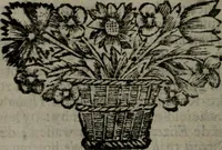 An illustration from De kapelle der dooden, of, De algemeene doodenspiegel : in welken all menschen, van wat staat of rang zy zyn mogen, zich tot hun nut konnen beschouwen : om indagtig ti zyn het memento mori, gedenkt te sterven ... (1737)