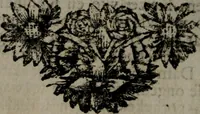 An illustration from De kapelle der dooden, of, De algemeene doodenspiegel : in welken all menschen, van wat staat of rang zy zyn mogen, zich tot hun nut konnen beschouwen : om indagtig ti zyn het memento mori, gedenkt te sterven ... (1737)