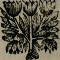 An illustration from De kapelle der dooden, of, De algemeene doodenspiegel : in welken all menschen, van wat staat of rang zy zyn mogen, zich tot hun nut konnen beschouwen : om indagtig ti zyn het memento mori, gedenkt te sterven ... (1737)