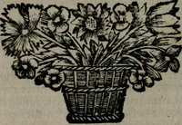 An illustration from De kapelle der dooden, of, De algemeene doodenspiegel : in welken all menschen, van wat staat of rang zy zyn mogen, zich tot hun nut konnen beschouwen : om indagtig ti zyn het memento mori, gedenkt te sterven ... (1737)