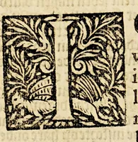 An illustration from De kleyne wonderlijcke werelt, : bestaende in dese keyserrijken, coningrijken en landen, als Turckyen, Hungaryen, Poolen, Ruslant, Bohemen, Oostenrijck, Duytschlant, Hispanien, Vranckrijck, Italien, Engelandt, het Landt van Beloften, het Nieuwe Ierusalem en Bresilien. (1649)