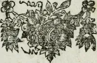 Picture 44 of 85 from De konincklycke triumphe : vertoonende alle de eerpoorten, met desselfs besondere sinne-beelden, en hare beschryvinge, ten getale van in de 60, opgerecht in s' Gravenhage 1691 ter eere van Willem de III koningh van Groot Brittanjen (1691), leaf 158