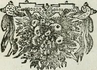 Picture 48 of 85 from De konincklycke triumphe : vertoonende alle de eerpoorten, met desselfs besondere sinne-beelden, en hare beschryvinge, ten getale van in de 60, opgerecht in s' Gravenhage 1691 ter eere van Willem de III koningh van Groot Brittanjen (1691), leaf 165
