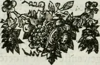 An illustration from De konincklycke triumphe : vertoonende alle de eerpoorten, met desselfs besondere sinne-beelden, en hare beschryvinge, ten getale van in de 60, opgerecht in s' Gravenhage 1691 ter eere van Willem de III koningh van Groot Brittanjen (1691)