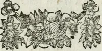 An illustration from De konincklycke triumphe : vertoonende alle de eerpoorten, met desselfs besondere sinne-beelden, en hare beschryvinge, ten getale van in de 60, opgerecht in s' Gravenhage 1691 ter eere van Willem de III koningh van Groot Brittanjen (1691)