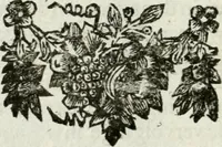 Picture 82 of 85 from De konincklycke triumphe : vertoonende alle de eerpoorten, met desselfs besondere sinne-beelden, en hare beschryvinge, ten getale van in de 60, opgerecht in s' Gravenhage 1691 ter eere van Willem de III koningh van Groot Brittanjen (1691), leaf 261