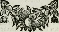An illustration from De konincklycke triumphe : vertoonende alle de eerpoorten, met desselfs besondere sinne-beelden, en hare beschryvinge, ten getale van in de 60, opgerecht in s' Gravenhage 1691 ter eere van Willem de III koningh van Groot Brittanjen (1691)