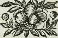 Picture 13 of 85 from De konincklycke triumphe : vertoonende alle de eerpoorten, met desselfs besondere sinne-beelden, en hare beschryvinge, ten getale van in de 60, opgerecht in s' Gravenhage 1691 ter eere van Willem de III koningh van Groot Brittanjen (1691), leaf 80