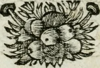 An illustration from De konincklycke triumphe : vertoonende alle de eerpoorten, met desselfs besondere sinne-beelden, en hare beschryvinge, ten getale van in de 60, opgerecht in s' Gravenhage 1691 ter eere van Willem de III koningh van Groot Brittanjen (1691)